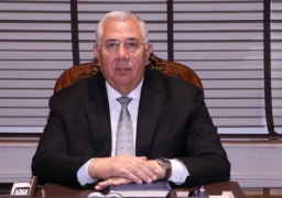 وزير الزراعة يعلن فتح أسواق المغرب أمام البطاطس وأسواق كندا أمام الفراولة الطازجة