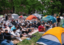 طلاب بجامعة “برينستون” الأمريكية يضربون عن الطعام تضامنا مع غزة