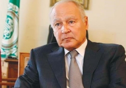 أبو الغيط يطالب بوقف فوري للحرب الإسرائيلية على غزة لإنقاذ أرواح الفلسطينيين وصيانة العدالة والقانون