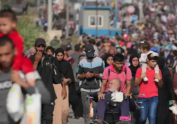 الـ(أونروا): فرار حوالي مليون شخص من رفح الفلسطينية خلال الأسابيع الثلاثة الماضية