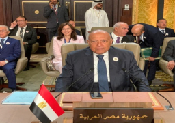 بالصور.. شكري يترأس وفد مصر بالجلسة الافتتاحية لمجلس جامعة الدول العربية على المستوى الوزاري بالمنامة