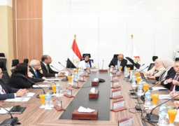 بالصور.. “مركز المعلومات” يعقد ورشة لمناقشة جهود تنفيذ “الاستراتيجية الوطنية للسكان والتنمية (2023-2030)”