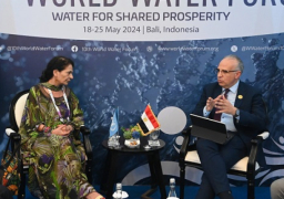 بالصور.. وزير الري يلتقي مدير عام اليونسكو للعلوم الطبيعية على هامش فعاليات المنتدى العالمي العاشر للمياه بإندونيسيا