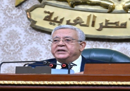 رئيس مجلس النواب: ندعم جهود الرئيس السيسي لوقفٍ عاجلٍ لإطلاق النار على الأراضي الفلسطينية