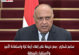 سامح شكري : مصر حريصة على إنهاء أزمة غزة واستعادة الأمن والاستقرار بالمنطقة
