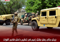 جيش مالى يعلن مقتل زعيم فى تنظيم داعش هاجم القوات الأمريكة بالنيجر