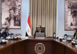 مدبولى يؤكد أهمية جهود هيئة قناة السويس لتطوير المنطقة الاقتصادية لجذب الاستثمارات الأجنبية المباشرة