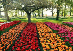 معرض زهور الربيع يبدأ في استقبال الجمهور اليوم بالمتحف الزراعي