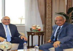 وزير قطاع الأعمال يبحث مع رئيس الهيئة العربية للتصنيع إنشاء مجمع صناعي لخام الحديد
