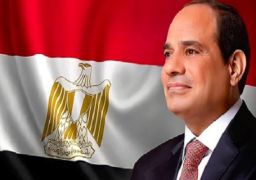 الرئيس السيسي يعود إلى أرض الوطن بعد أداء فريضة الحج