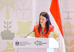 المشاط: مصر حريصة على تنويع علاقاتها الاقتصادية مع شركاء التنمية ومختلف بنوك التنمية متعددة الأطراف