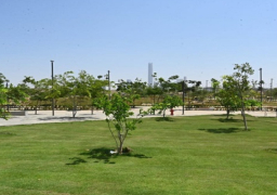 بالصور.. الجزار: زرعنا حتى الآن أكثر من 46 ألف شجرة ونخلة بمشروع الحدائق المركزية “كابيتال بارك” بالعاصمة الإدارية