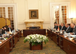 بالصور.. شكري ونظيره القبرصي يبحثان الحرب على غزة في جلسة مشاورات موسعة بالقاهرة