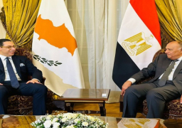 بالصور.. شكري ونظيره القبرصي يعقدان مباحثات ثنائية بالقاهرة