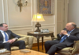 بالصور.. وزير الخارجية يلتقي منسق البيت الأبيض لشئون الشرق الأوسط وشمال أفريقيا