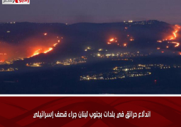 اندلاع حرائق في بلدات بجنوب لبنان جراء قصف إسرائيلي