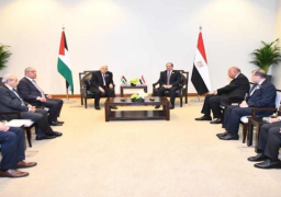 خلال لقائه أبو مازن.. الرئيس السيسي يؤكد موقف مصر الراسخ الداعم للقضية الفلسطينية