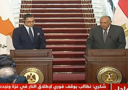 خلال مؤتمر صحفي مع شكري.. وزير خارجية قبرص: العلاقات مع مصر استراتيجية وقائمة على الروابط التاريخية