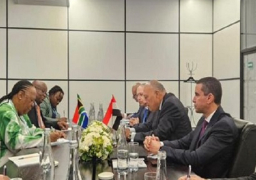 شكري ووزيرة خارجية جنوب إفريقيا يؤكدان الحرص على العلاقات والشراكة الاستراتيجية