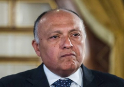 شكري: يجب التصدي لمحاولات إسرائيل الرامية لتصفية القضية الفلسطينية