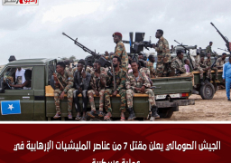 الجيش الصومالي يعلن مقتل 7 من عناصر المليشيات الإرهابية في عملية عسكرية