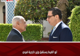 أبو الغيط يستقبل وزير خارجية قبرص