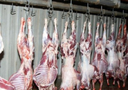 فتح مجازر محافظة القاهرة مجانًا طوال أيام عيد الأضحى