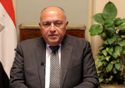 مباحثات مصرية قبرصية بالقاهرة اليوم على مستوى وزيري الخارجية