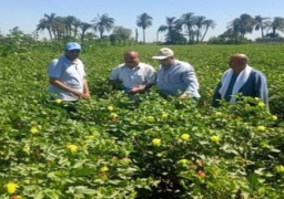 وزير الزراعة يتابع جهود حماية الأراضي الزراعية من التعديات في كل محافظات الجمهورية