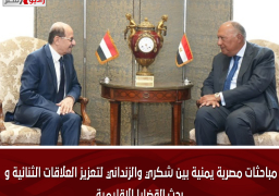 مباحثات مصرية يمنية بين شكري والزنداني لتعزيز العلاقات الثنائية و بحث القضايا الإقليمية