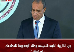 وزير الخارجية: الرئيس السيسي وملك الأردن وجها بالعمل على دفع العلاقات