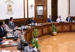 بالصور.. رئيس الوزراء يستعرض مع أحد التحالفات العالمية مقترح إدارة مركز القاهرة الدولي المالي بالعاصمة الإدارية الجديدة