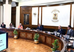 بالصور.. رئيس الوزراء يكلف بتشجير المحاور المرورية فى القاهرة الكبرى وعواصم المحافظات