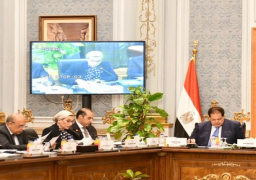 بالصور.. وزيرة البيئة تستعرض برامج محور البيئة في برنامج الحكومة الجديد