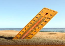 الأرصاد: انخفاض نسبى فى درجات الحرارة اليوم.. والعظمى بالقاهرة 36 درجة