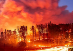 حريق بكاليفورنيا يلتهم 350 ألف فدان ويهدد 50 مقاطعة