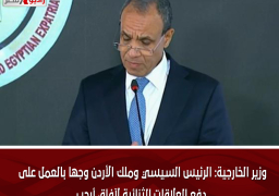 وزير الخارجية: الرئيس السيسي وملك الأردن وجها بالعمل على دفع العلاقات الثنائية لآفاق أرحب