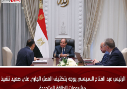 الرئيس عبد الفتاح السيسي يوجه بتكثيف العمل الجاري على صعيد تنفيذ مشروعات الطاقة المتجددة