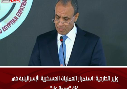 وزير الخارجية: استمرار العمليات العسكرية الإسرائيلية في غزة “وصمة عار”