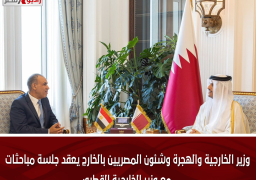 وزير الخارجية والهجرة وشئون المصريين بالخارج يعقد جلسة مباحثات مع وزير الخارجية القطري