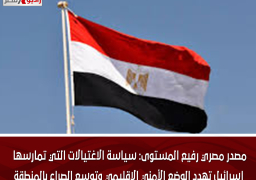 مصدر مصري رفيع المستوى: سياسة الاغتيالات التي تمارسها إسرائيل تهدد الوضع الأمني الإقليمي وتوسع الصراع بالمنطقة