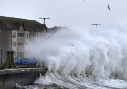 مقتل ثلاثة أشخاص وانقطاع الكهرباء عن الملايين بسبب العاصفة بيريل في تكساس