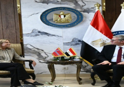 وزير البترول يبحث مع سفيرة النرويج بالقاهرة تنفيذ مشروع إنتاج الهيدروجين الأخضر