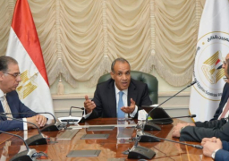 وزير الخارجية والهجرة :مواصلة العمل لتعزيز التواصل مع المصريين بالخارج