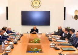 وزير الخارجية والهجرة وشئون المصريين في الخارج يجتمع بقيادات وأعضاء قطاع الشئون القنصلية