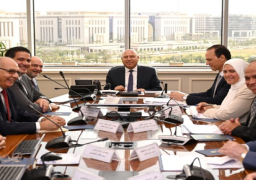 وزير الصناعة والنقل: السوق المصرية تزخر بفرص ومقومات متميزة تؤهلها لتوطين صناعة السيارات