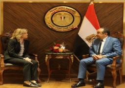 وزير قطاع الأعمال العام يبحث مع سفيرة النرويج بالقاهرة تعزيز التعاون وفرص الاستثمار