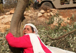 الأمم المتحدة: قتل الفلسطينيين وتهجيرهم بالضفة مستمر بلا هوادة