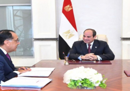 الرئيس السيسي يؤكد دعم الدولة للقطاع الخاص المصري والأجنبي لزيادة الاستثمارات الصناعية