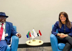 المشاط تلتقي وزير مالية جنوب أفريقيا وتبحث سبل التعاون